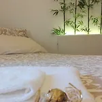 Del Corso בית הארחה 4*